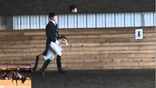 Totilas Freestyle Tribute  the whole stick horse performance [upl. by Yort210]