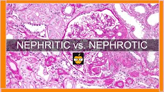 Nephritic vs Nephrotic Syndromes [upl. by Edric376]