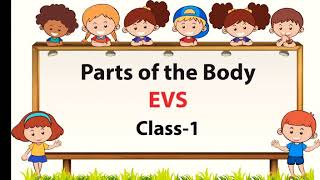 Parts Of The Body EVS Class 1 My Body [upl. by Doria]