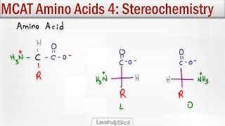 Amino Acid Stereochemistry R and S vs D and L Configuration [upl. by Kerns766]