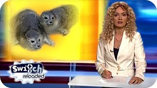 RTL Punkt 12  Süße Robbenbabys im Soester Zoo  Switch Reloaded Classics reupload [upl. by Maiah628]