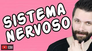 SISTEMA NERVOSO  FISIOLOGIA  Aula  Biologia com Samuel Cunha [upl. by Sido]