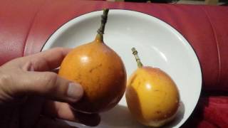 What Is Granadilla Fruit [upl. by Aneet948]