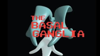 Neuroanatomy The Basal Ganglia [upl. by Bennet149]