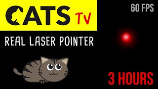 CATS TV  Real Laser Chaser 60FPS 🔴  3 HOURS Video Game for Cats Only [upl. by Edison]