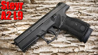 Steyr A2 L9 MF The Best Gun You Havent Heard Of First Shots [upl. by Lochner]