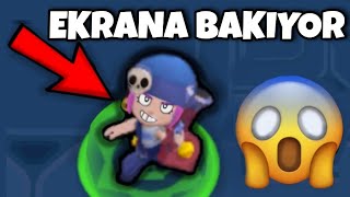 BRAWL STARS KARAKTERLERİ BİZİ İZLİYOR MU  Tüm Gizemler [upl. by Nnaylime]