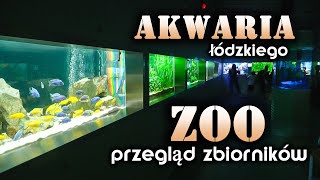 AKWARIA łódzkiego ZOO  przegląd zbiorników [upl. by Rennold]