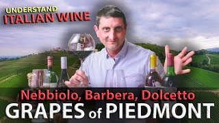 Piedmonts Wine TRILOGY Nebbiolo Barbera Dolcetto  Italian Wine 101 [upl. by Tiena717]