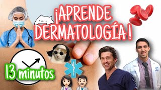 PIEL ¡Anatomía funcional en 13 minutos BASES DE LA DERMATOLOGÍA [upl. by Petersen]