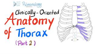 ClinicallyOriented Anatomy of the Thorax Part 2 [upl. by Mathews]