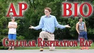 Cellular Respiration Rap [upl. by Hayifas937]