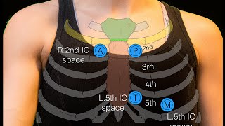 Sternal angle [upl. by Meyeroff675]