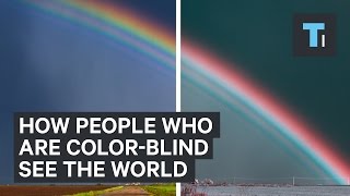 How people who are colorblind see the world [upl. by Notla]