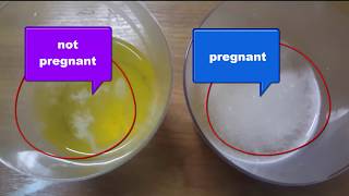 a homemade pregnancy test with salt [upl. by Clive304]