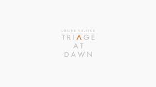 Triage At Dawn Cover  Ursine Vulpine  The Final Hours Of HalfLife Alyx [upl. by Nosirrah747]