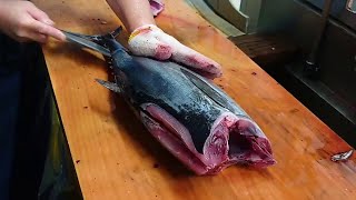 Bonito Fish Filleting Sashimi Making [upl. by Eseneg]