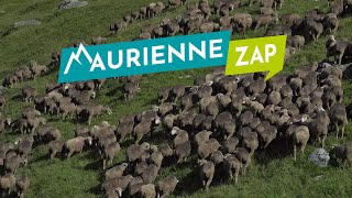 Maurienne Zap 700 [upl. by Flavius937]