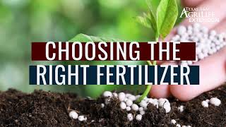 Choosing the right fertilizer for vegetable gardens [upl. by Niltag]