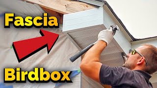 How To Install Fascia On A Birdbox [upl. by Dobbins992]