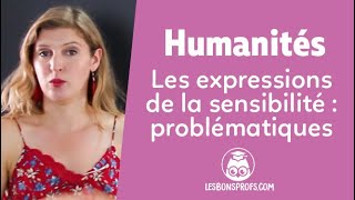 Les expressions de la sensibilité  problématiques  Humanités  Terminale  Les Bons Profs [upl. by Wallie]