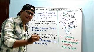 Basal ganglia PartI  Functions of Putamen Circuit [upl. by Kisor]