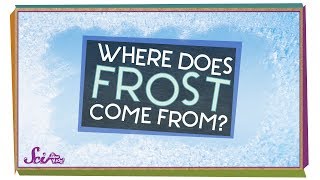 Where Does Frost Come From  Winter Science  SciShow Kids [upl. by Warrick]