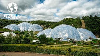 They Built a Rainforest Ecosystem inside a Geodesic Dome [upl. by Yerffoj]