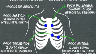 Semiologia médica Ausculta cardíaca [upl. by Ahsilrae913]