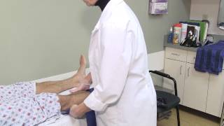 Peripheral Vascular Arterial Testing [upl. by Sulrac]