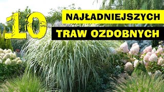 10 najładniejszych TRAW OZDOBNYCH [upl. by Aemat794]