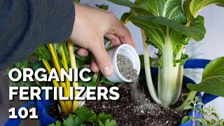 14 Organic Fertilizers and How to Use Them [upl. by Ginger]