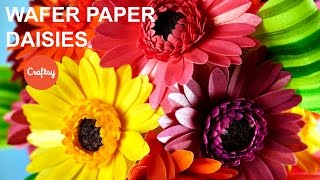 Make a Wafer Paper Daisy  Cake Decorating Tutorial with Kara Andretta [upl. by High]