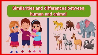 Similarities and differences between human and animal Comparison of human and animal [upl. by Selma]