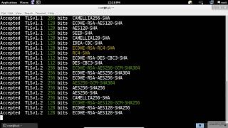 SSL Scanning  Kali Linux  SSLTLS Vulnerability Scanner [upl. by Yeldua]