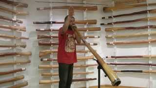 How To Imitate Animal Sounds On The Didgeridoo [upl. by Carry]