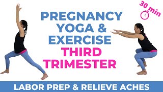 Pregnancy Exercise Third Trimester [upl. by Ailet149]