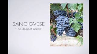 Winecast Sangiovese [upl. by Rossing]