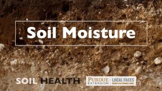 Soil Basics Soil Moisture [upl. by Anot679]