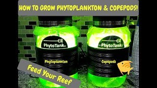 How To Harvest Phytoplankton amp Copepods  Poseidon Reef Systems  Culturing Phyto amp Copepods [upl. by Ellenod]