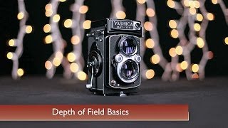 Depth of Field Basics [upl. by Isiah450]