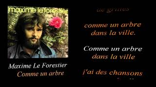 Maxime Le Forestier Comme un arbre [upl. by Afnin449]