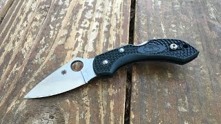 The Spyderco Dragonfly ZDP189 Pocketknife The Full Nick Shabazz Review [upl. by Aciret827]