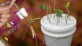 FASTEST METHOD OF ROOTING PLANT CUTTINGS  DIY HYDROPONIC CLONER [upl. by Manny117]