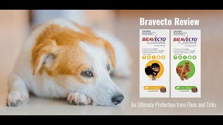 Bravecto Flea and Tick Treatment for Dogs Pet Care VetSupply [upl. by Readus359]