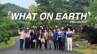 daily indo sub what on earth  seventeen in caratland 2021 skit [upl. by Elaen377]