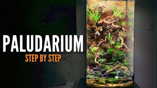 How to build a Paludarium Vivarium [upl. by Qiratla]