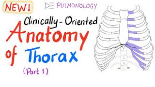 ClinicallyOriented Anatomy of the Thorax part 1 [upl. by Salem]