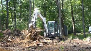 Mini Excavator Pulling Stumps With Ripper [upl. by Anu]