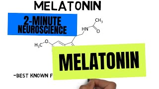 2Minute Neuroscience Melatonin [upl. by Buchalter]